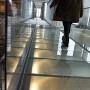 fish glassflooring walking